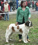 JCh. Chantal z Dobruské stáje
