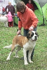 Bela z Kyšperka