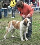 Ajša z Kyšperka