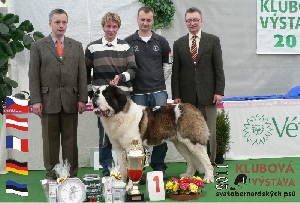 JCh. Absolute Winner od Klášterních lesů - CAJC, Klubový vítěz mladých, BOB, BIS Junior, BIS