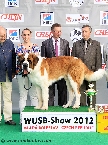 WUSB JUNIOR CHAMPION 2012 (longhaired male)