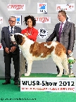 WUSB CHAMPION 2012 (longhaired female)