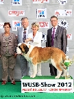 WUSB CHAMPION 2012 (shorthaired male)