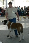 Favorit of Swiss Mountain Goofy