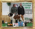Ch. KEVIN z Dobruské stáje - Klubový vítěz dlouhosrstý pes, BOB
