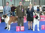 GARRY Z KAMENNÉ KOLONIE - CACIB, EVROPSKÝ VÍTĚZ a WINNER NA KAZDA POGODE - R.CACIB