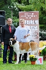 DOROTKA ELIŠČINO KRÁLOVSTVÍ - V 1, CAJC, VÍTĚZ SPECIÁLNÍ VÝSTAVY MLADÝCH