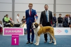 Světová výstava psů Lipsko - Německo - JCAC, Světový vítěz mladých 2017 