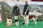 CH. CORA BARYKŮV DVŮR - VÝBORNÁ 1, CAC