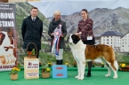 EDA IWAN ZAREWITCH OD HODOUSICKÉ LOUKY - JUNIOR BEST IN SHOW