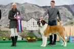 Klubová výstava Mladá Boleslav 2018 - CAJC, Klubový vítěz mladých 2018, BOJ