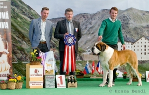 JCh. JWW. Ch. WW. Dangera od Strážců hor - BEST IN SHOW
