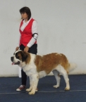  Jessica vom Baronenschloss 