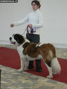 Chita z Rubaničiek