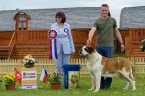 VETERAN BEST IN SHOW