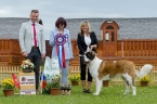 JUNIOR BEST IN SHOW