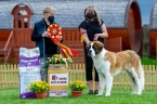 CHANEL ELIŠČINO KRÁLOVSTVÍ - JUNIOR BEST IN SHOW