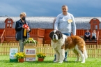 ICH. AMIGO Z HOSTÝNKSÝCH VRCHŮ - VETERAN BEST IN SHOW