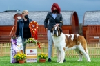 ICH. FRIDOLÍN ZE STATKU OD DOBRÉ VODY - BEST IN SHOW