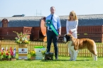 BEST OF BREED - Diva Carpathian Saint´s 