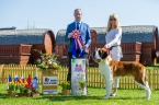 JUNIOR BEST IN SHOW - Imagine Ice King Wielkopolski Bernardyn