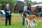 Sancho Du Grand Saint Bernard - V2, res.CAC